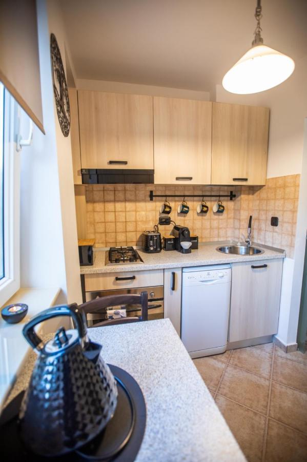 Mv Central Apartment & Garage - Self Check-In Тімішоара Екстер'єр фото